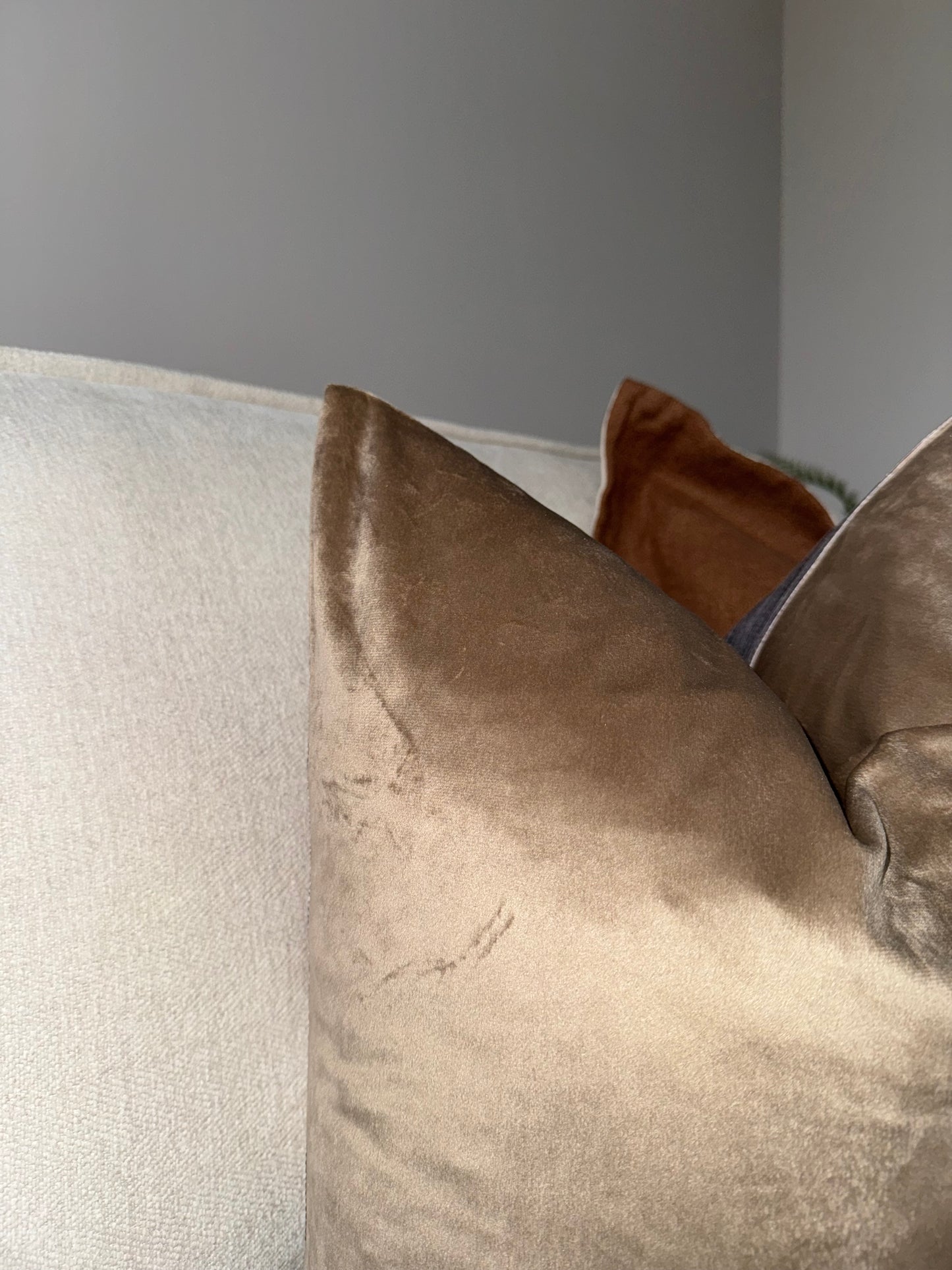 Harmony Print Velvet Cushion
