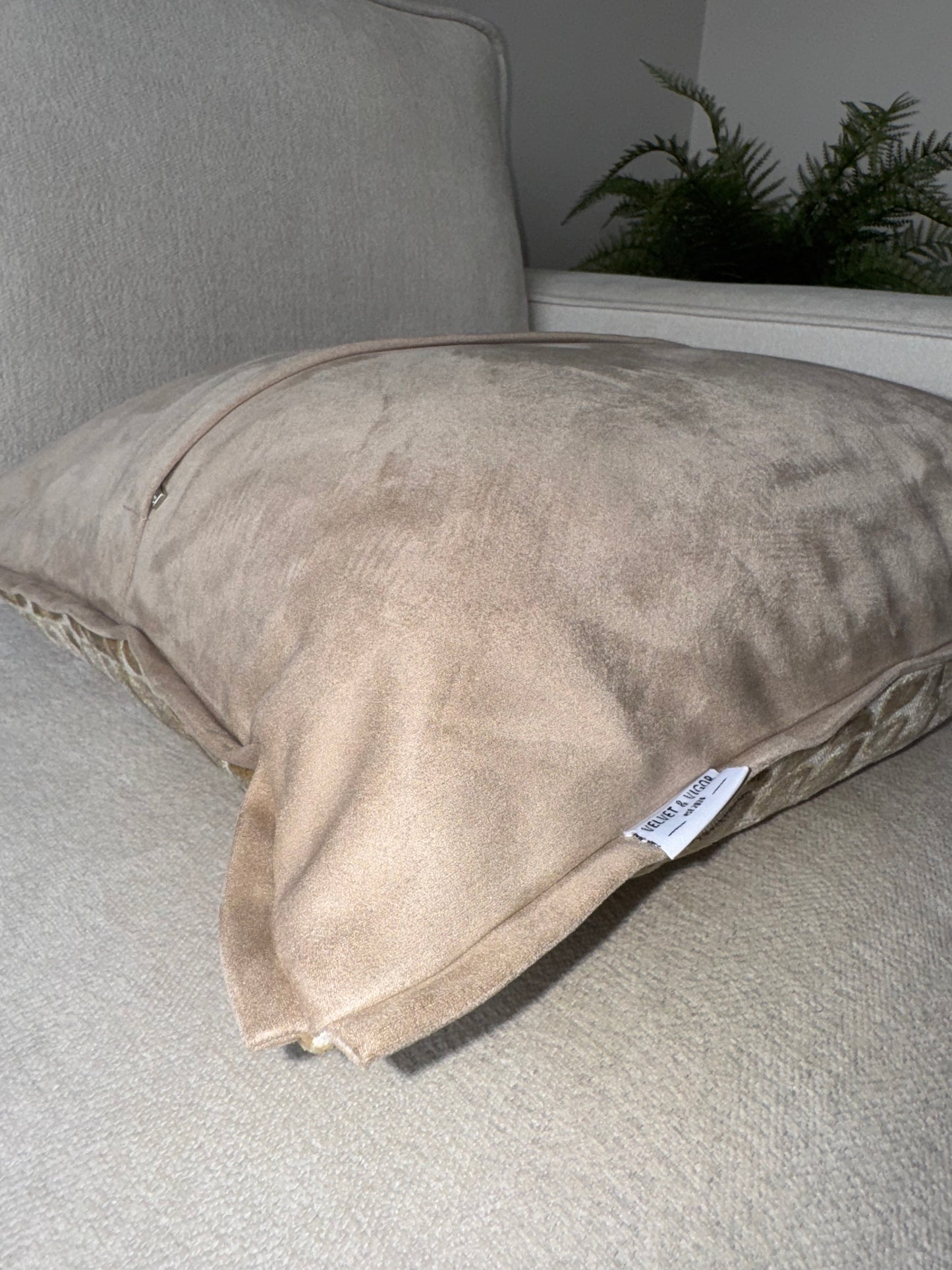 Constellaire Luxe Cushion